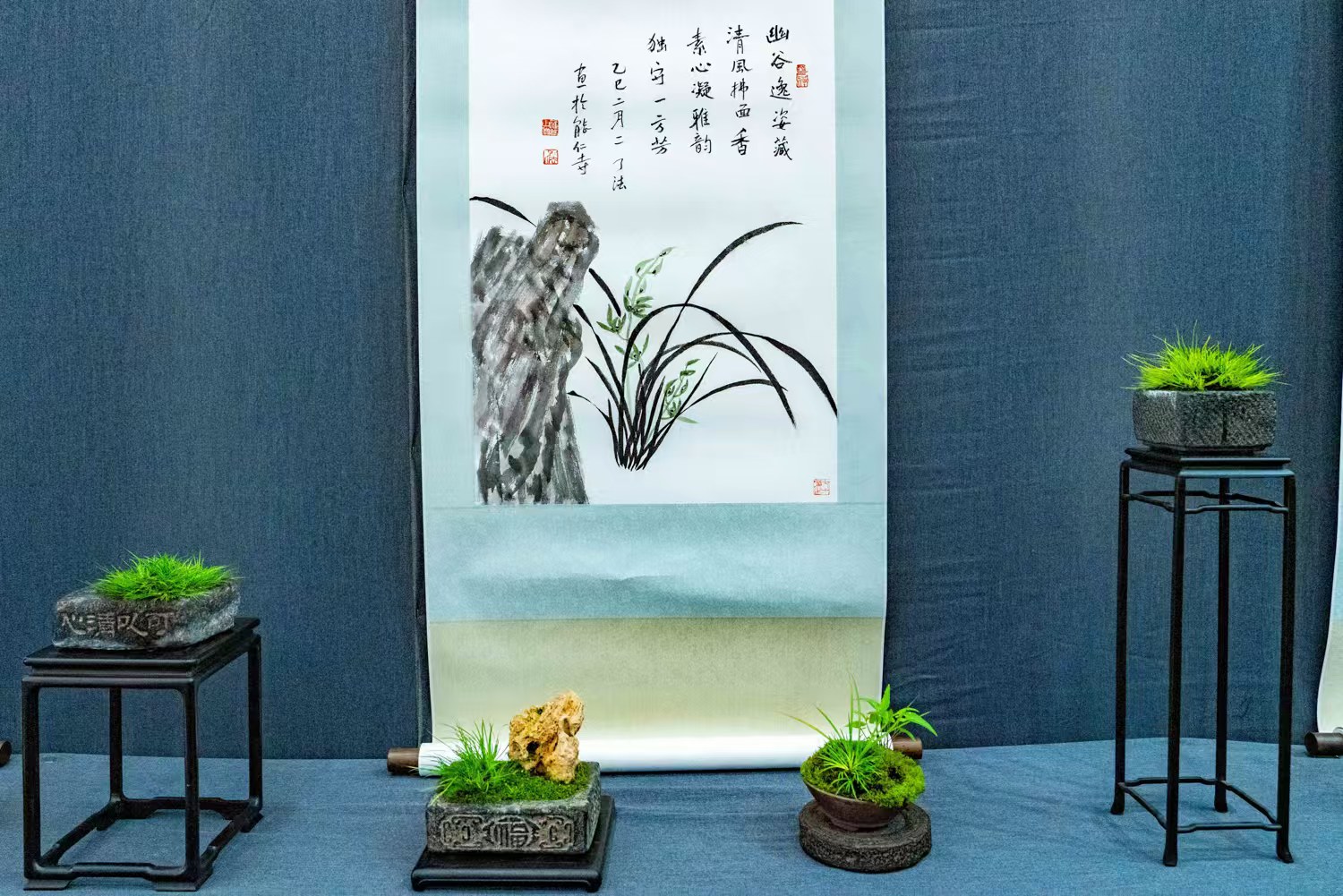 传承华夏菖蒲文化 共品雁荡禅意之美(图7)