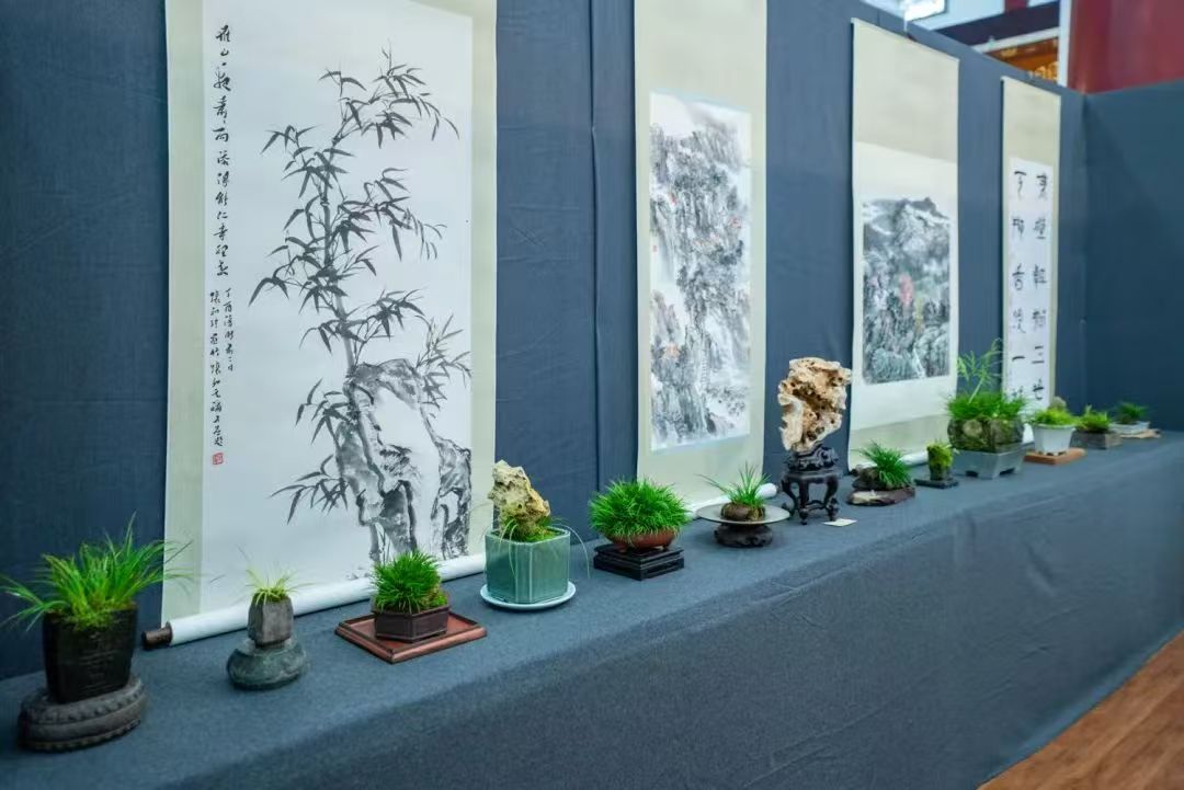 传承华夏菖蒲文化 共品雁荡禅意之美(图8)